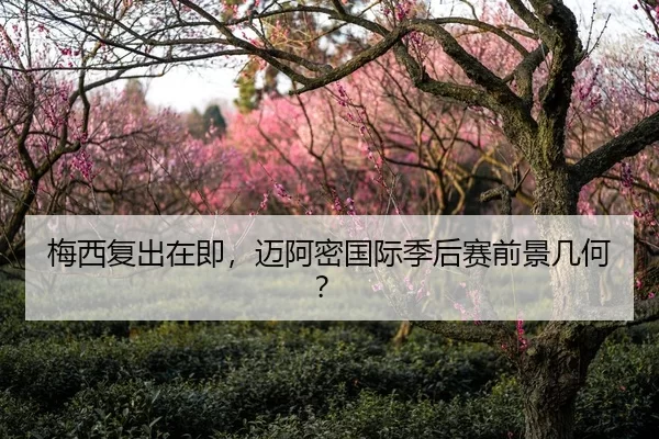 梅西复出在即，迈阿密国际季后赛前景几何？