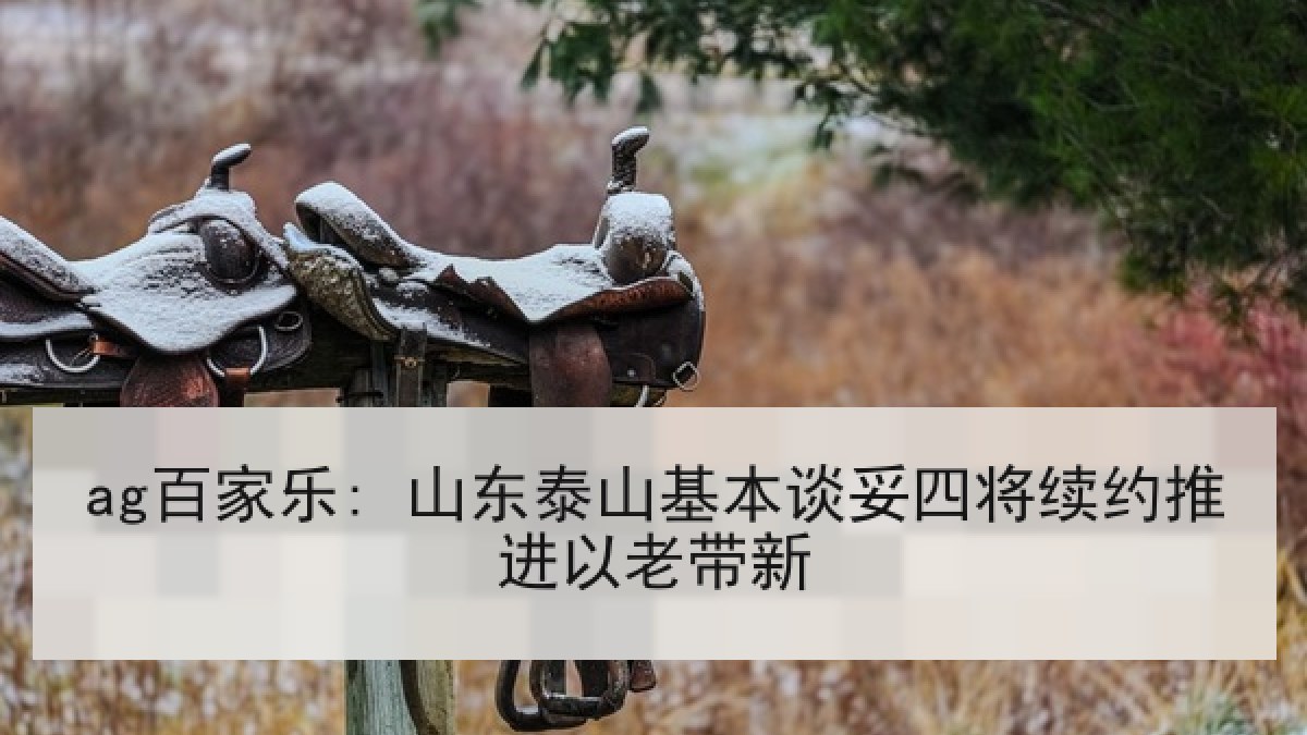 ag百家乐: 山东泰山基本谈妥四将续约推进以老带新