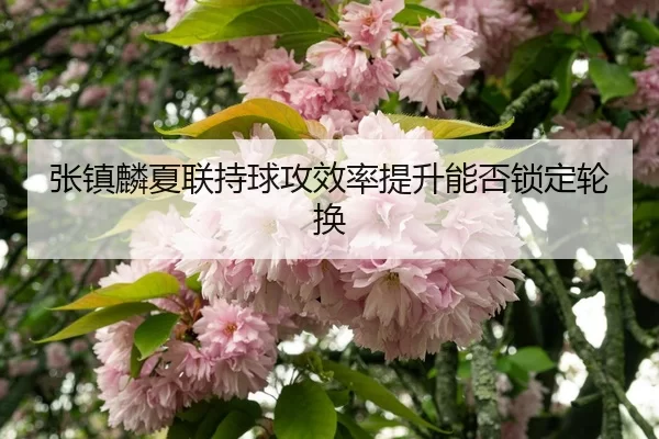zhang-zhen-lin-xia-lian-chi-qiu-gong-xiao-lv-ti-sheng-neng-fou-suo-ding-lun-huan-3-120.jpg